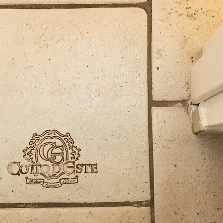 X 8 Guests Near Termini & Santa Maria Maggiore * Rom